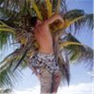 itamaribz - תמונה