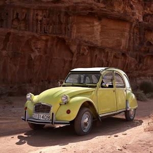 תמונת משתמש