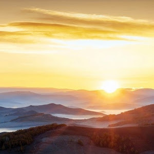 תמונת משתמש