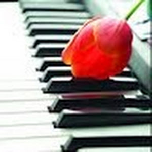 תמונת משתמש