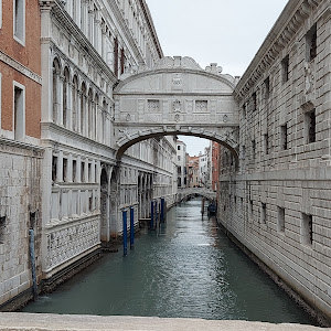 תמונת משתמש