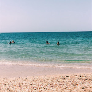 tali.cn - תמונה