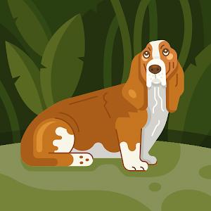 תמונת משתמש