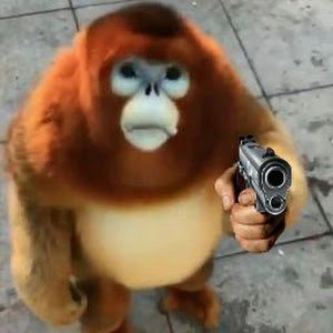 kurashvilidavid2