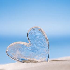 תמונת משתמש