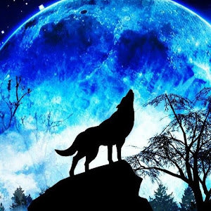 תמונת משתמש