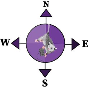 תמונת משתמש