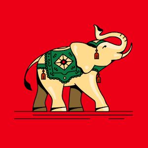 תמונת משתמש