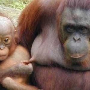 תמונת משתמש