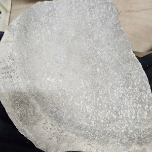 תמונת משתמש