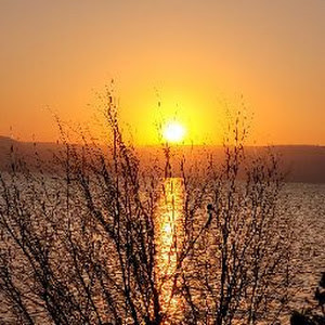 תמונת משתמש