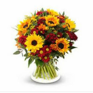 תמונת משתמש