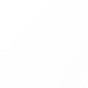 תמונת משתמש