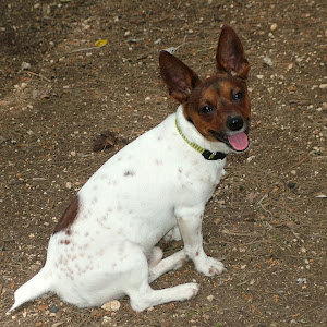 תמונת משתמש