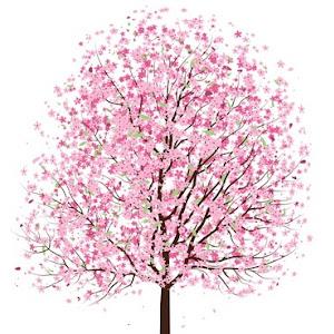 adar336 - תמונה