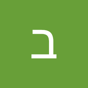 ברדק