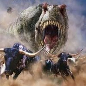 תמונת משתמש