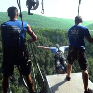 shayco17 - תמונה