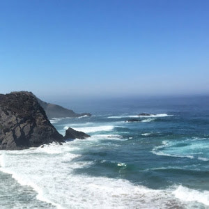 תמונת משתמש