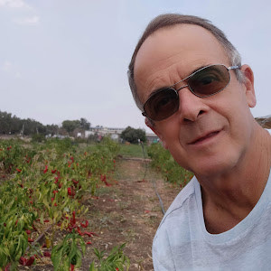 תמונת משתמש