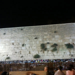 morena239 - תמונה