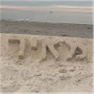 תמונת משתמש