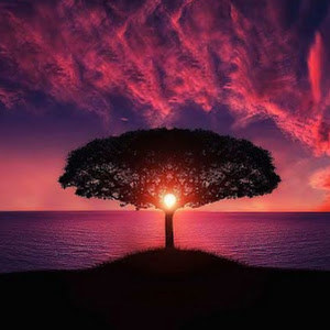 תמונת משתמש