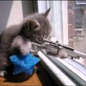 תמונת משתמש