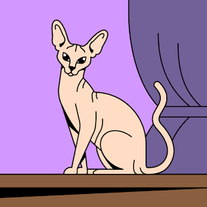 elinorrahimi1 - תמונה