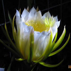 תמונת משתמש