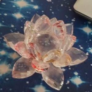 elenaleyzerovich - תמונה