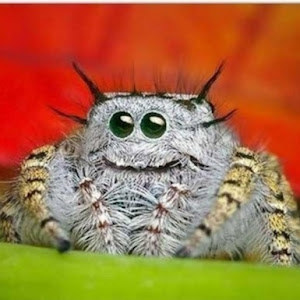 תמונת משתמש