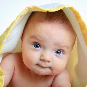 toibyla - תמונה