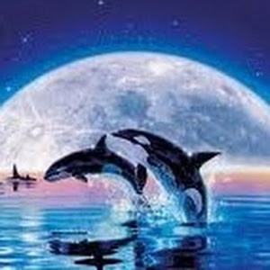 ilanachaimov1 - תמונה