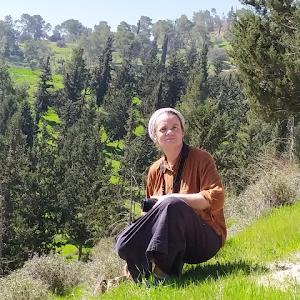 ancri18 - תמונה