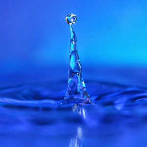 david.katsir - תמונה