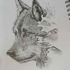 תמונת משתמש