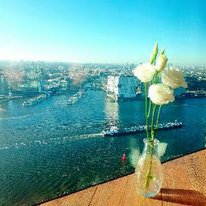 תמונת משתמש