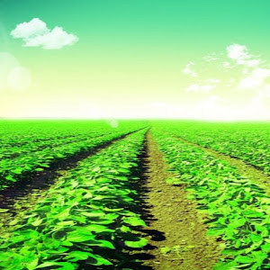 e0548446277 - תמונה