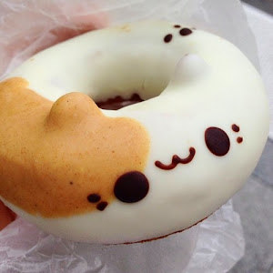 תמונת משתמש