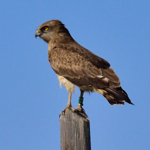 תמונת משתמש