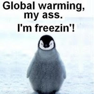 תמונת משתמש