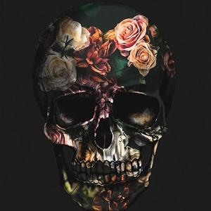 תמונת משתמש