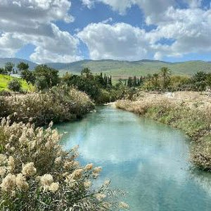 תמונת משתמש