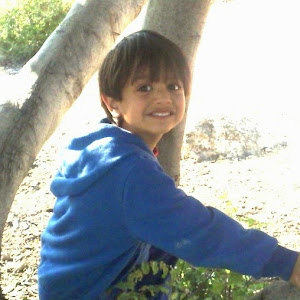 daphnarosht - תמונה