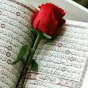 תמונת משתמש