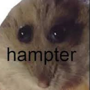 תמונת משתמש