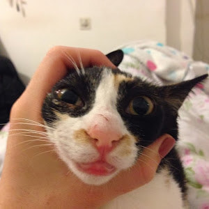 תמונת משתמש