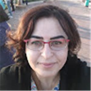 תמונת משתמש