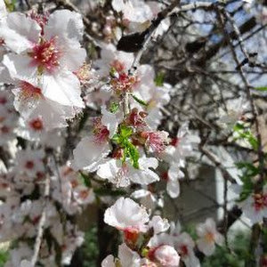 תמונת משתמש